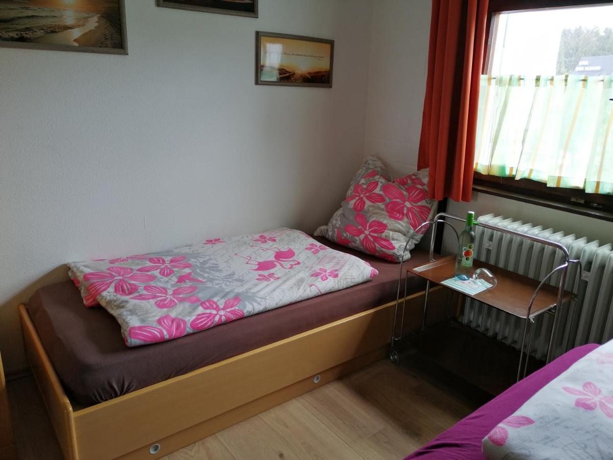 2 Raum Ferienwohnung Sonnenschein Sankt Englmar Extérieur photo